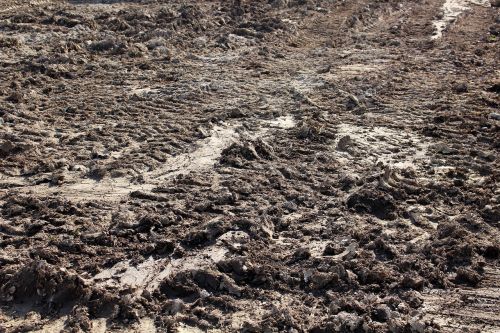 mud land ground