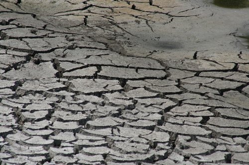 mud  cracks  drought
