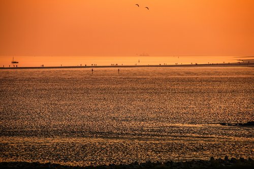 mudflat hiking  watts  beach