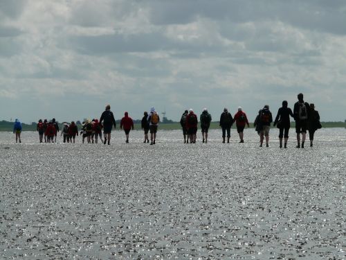 mudflat hiking priel hike