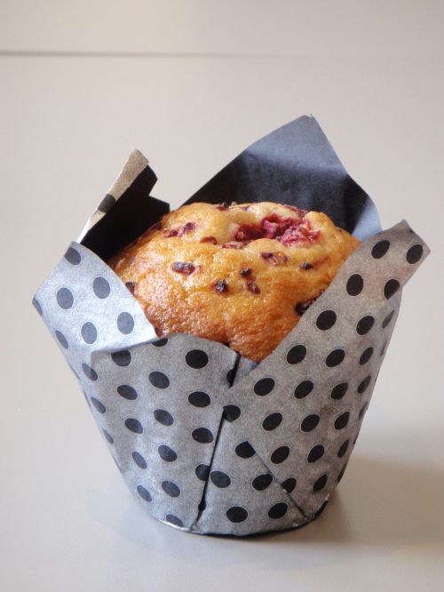 muffin breakfast food