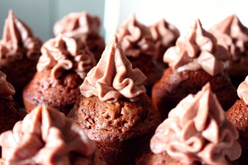 muffin pastry chocolate