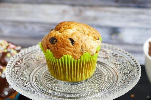 muffin  cupcake  muffins