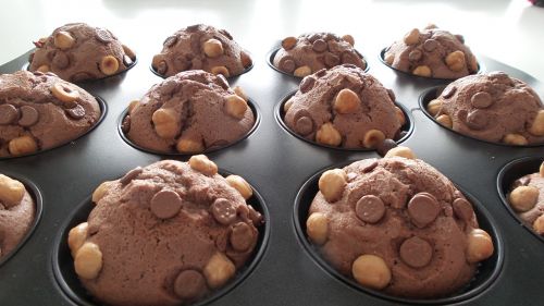 muffin hazelnuts baking