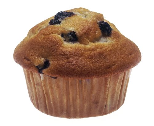 muffin blueberry baked