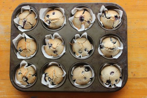 muffins blueberry muffins baking