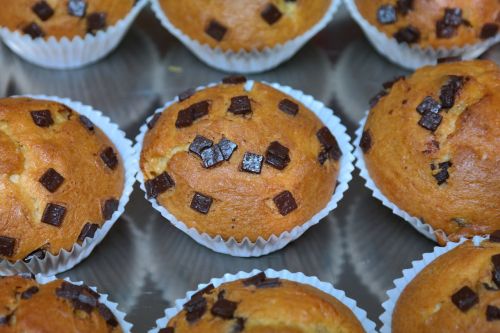 muffins schokoladenmuffins chocolate