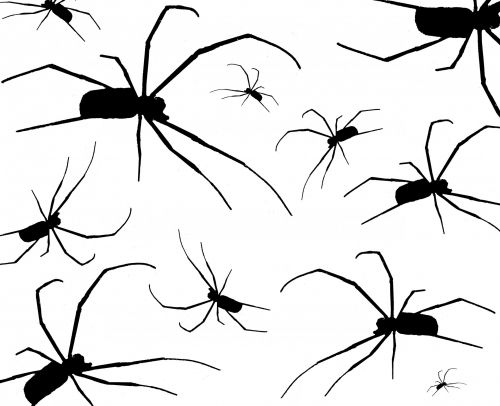 Multi Spider Silhouette Background