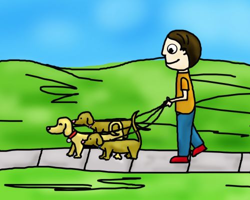 Multiple Dog Walk