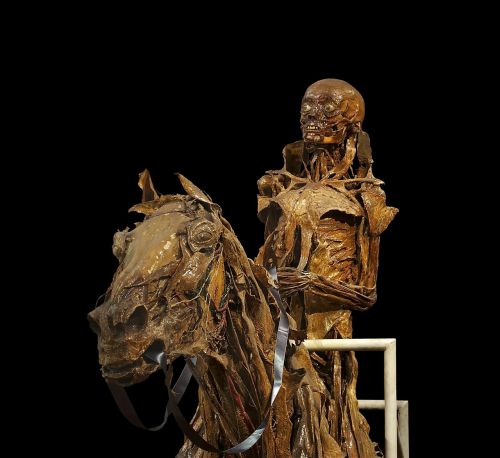 mummification skeleton horse