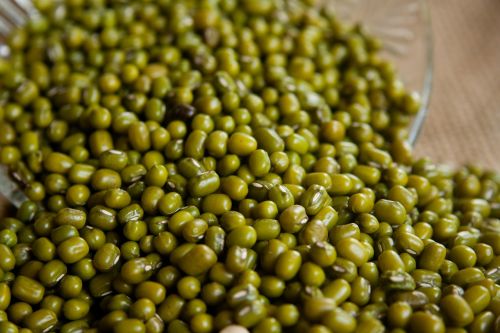 mung beans moong beans green gram