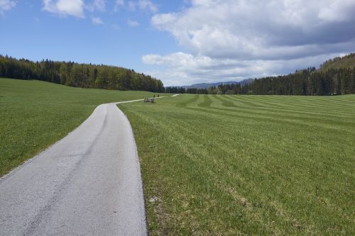 muran muránska planina grass