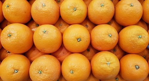 murcott orange orange fruit
