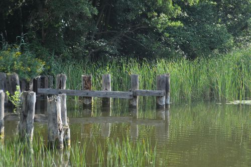 müritz water waters