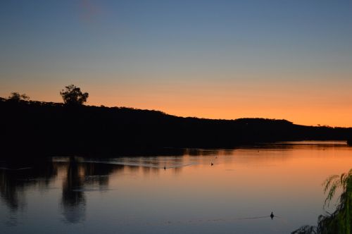 murray river sunset south australia