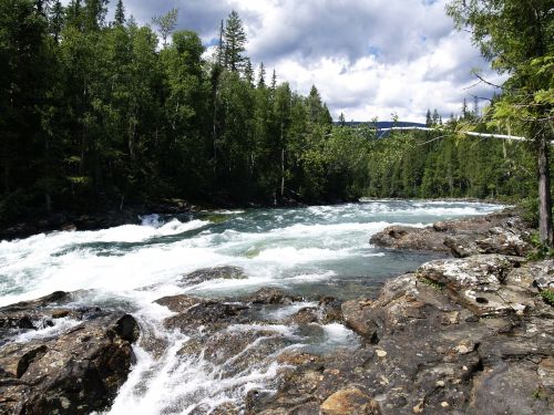 murtle river wells gray provincial park british columbia