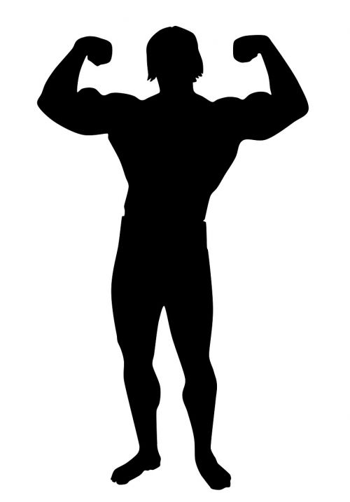muscle bodybuilding academy