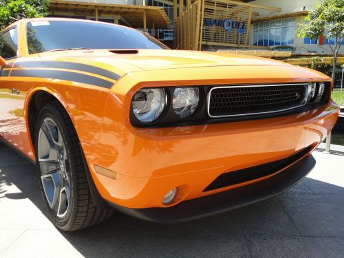 muscle car challenger orange
