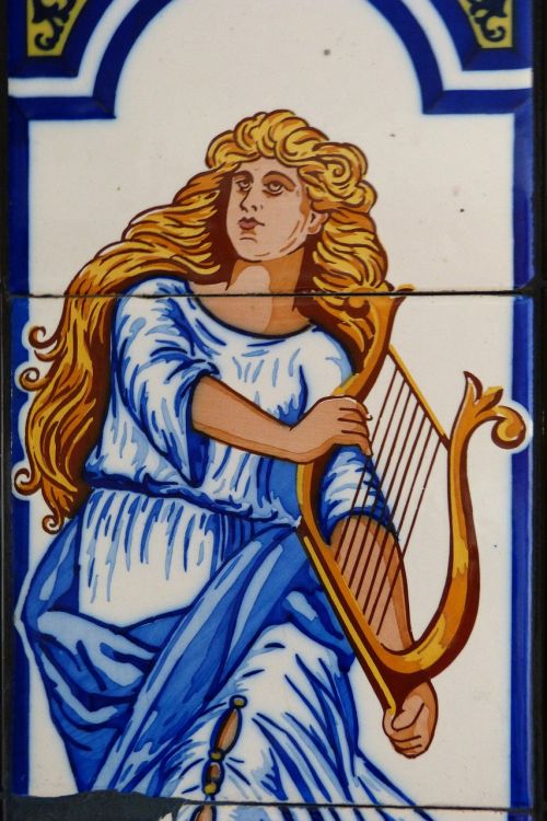 muse music harp