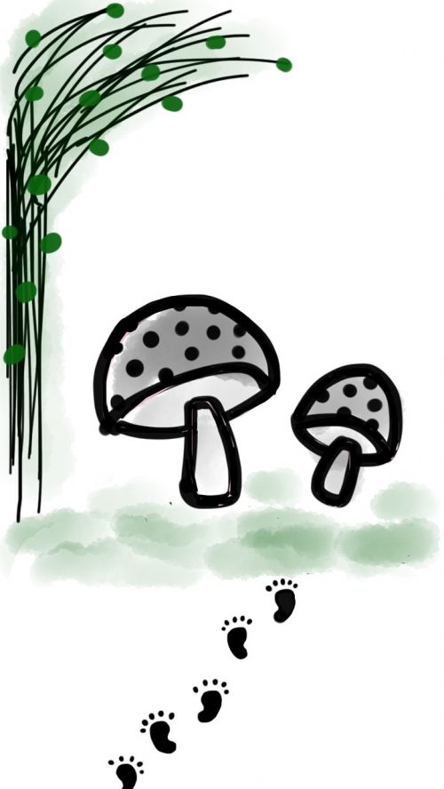 mushroom footprint plant