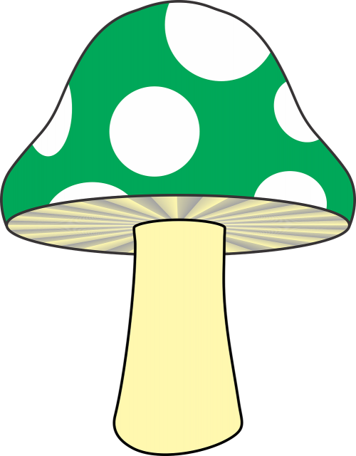 mushroom nature green mushroom