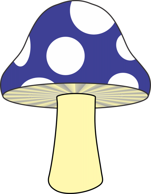 mushroom nature blue mushroom