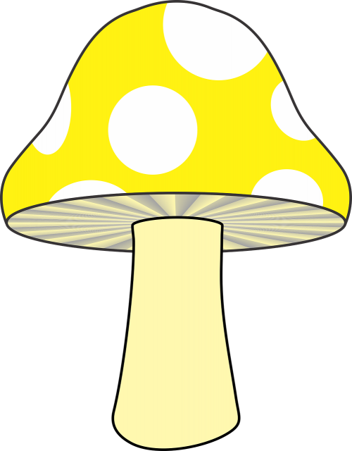 mushroom nature yellow mushroom