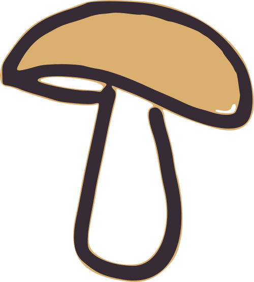 mushroom fungus cap