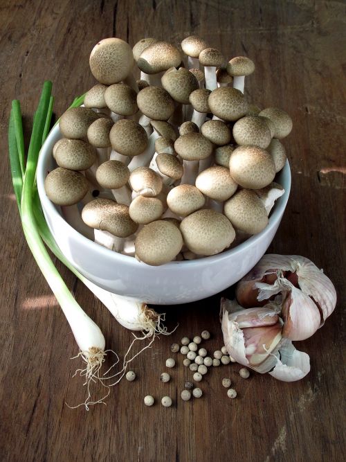 mushroom spring onion garlic