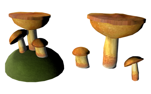 mushroom cep isolated