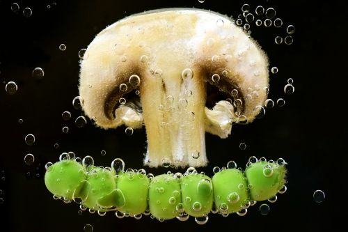mushroom peas vegetables