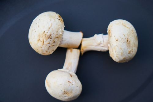 mushroom vegetable vegan