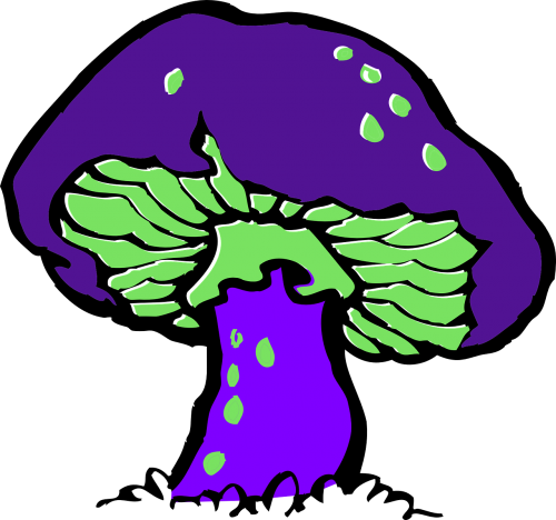 mushroom poisonous green