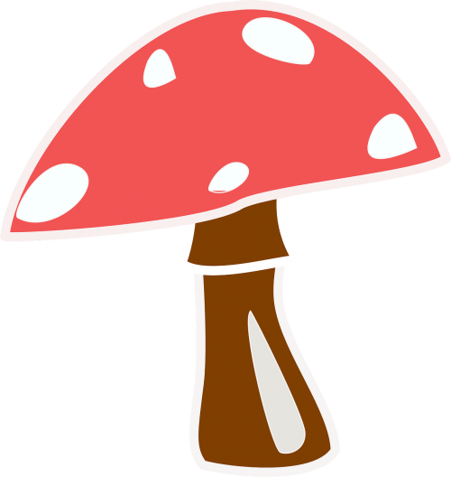 mushroom toadstool red