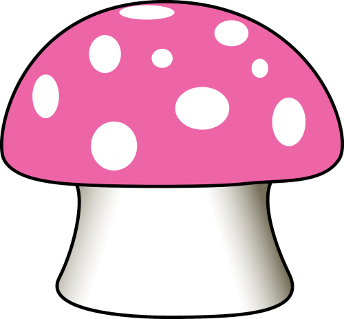 mushroom spotted toadstool
