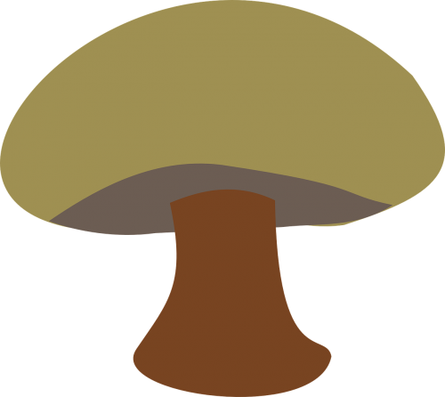 mushroom brown little