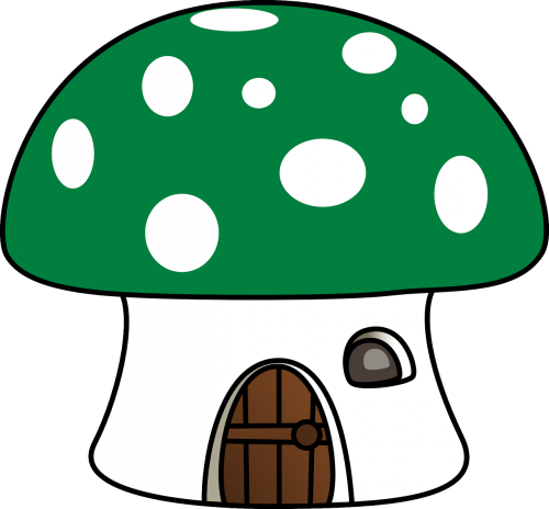 mushroom fly agarnic house