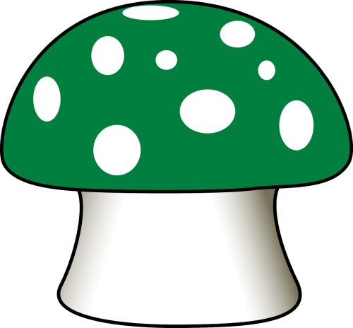 mushroom fly agaric green