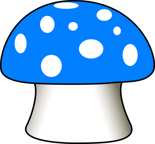 mushroom fly agaric blue
