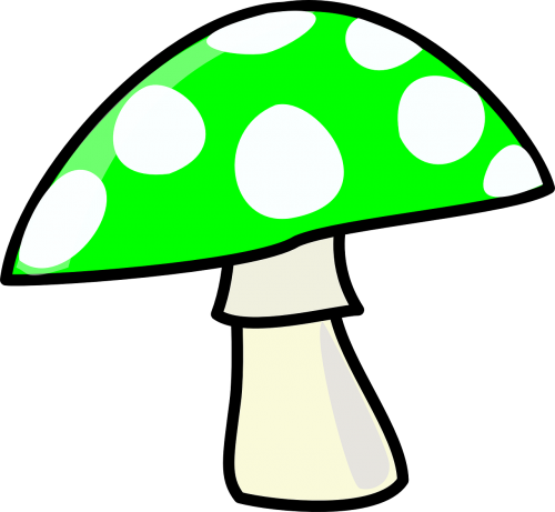 mushroom fly agaric green