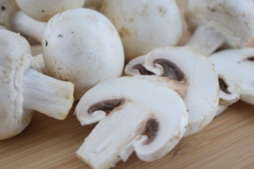 mushroom food fungus