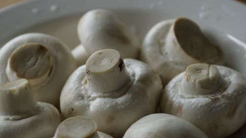 mushroom vegetable cooking