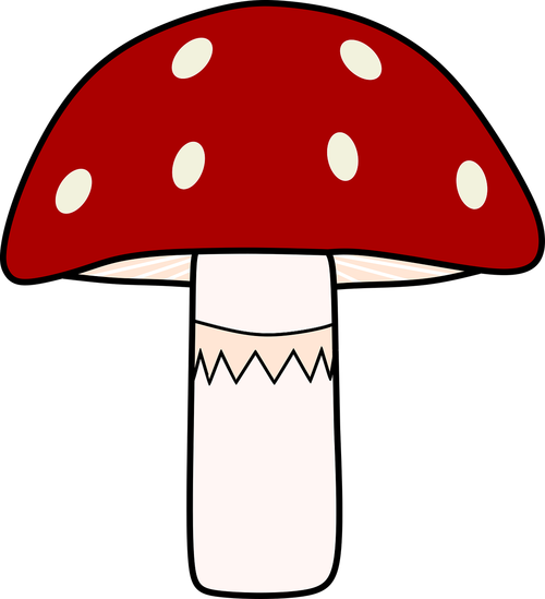 mushroom  amanita  red