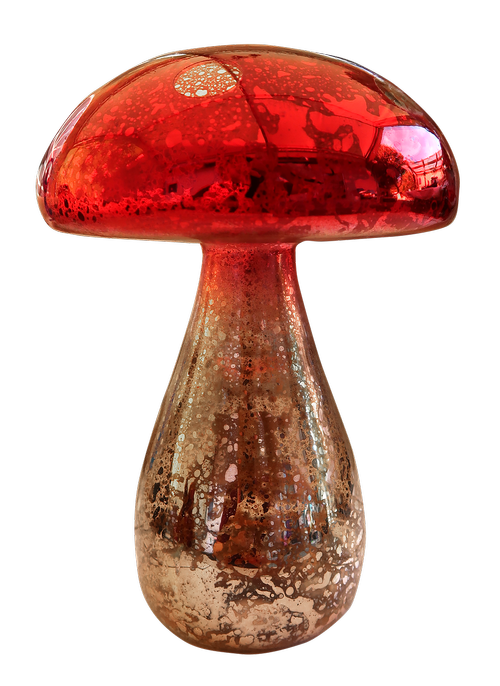 mushroom  fly agaric  toadstool