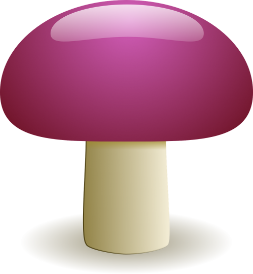 mushroom fungus natural
