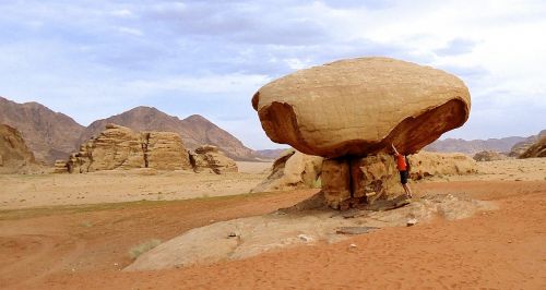 mushroom desert jordan