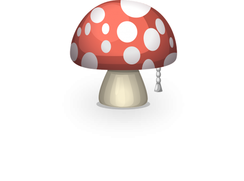 mushroom fungus toadstool