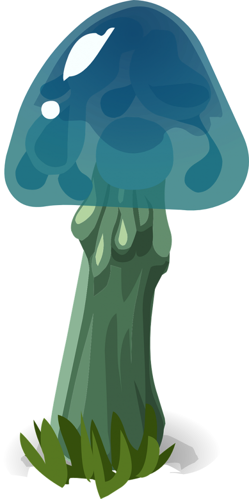 mushroom blue hat nature