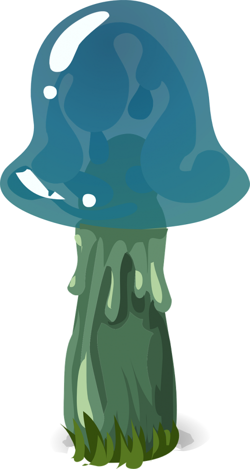 mushroom blue hat nature