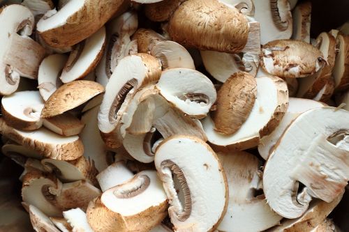 mushroom fungi cutting